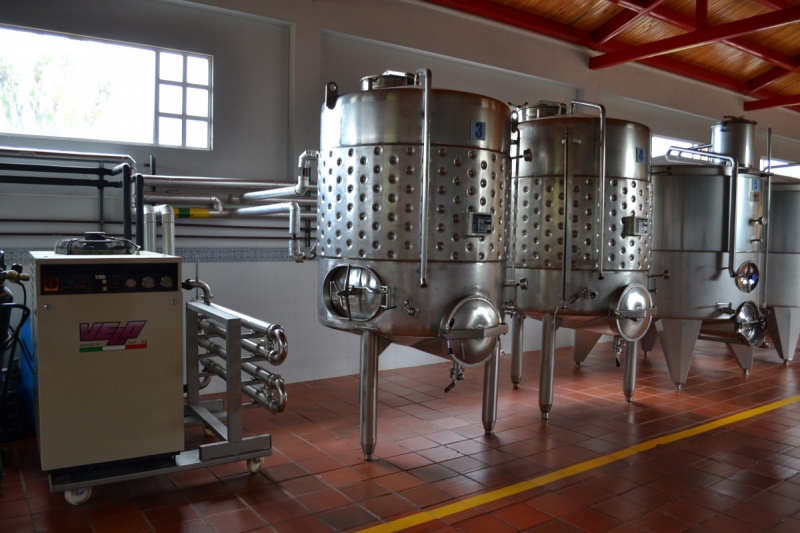 cave-TOULON-min_wine_production_cantine_winery_drink_alcohol_vine_beverage-902036